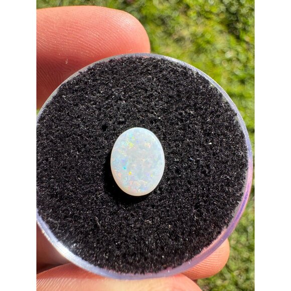 Australian Opal Cabochon - 0.77 carats #169 in Display Box - Picture 4 of 4
